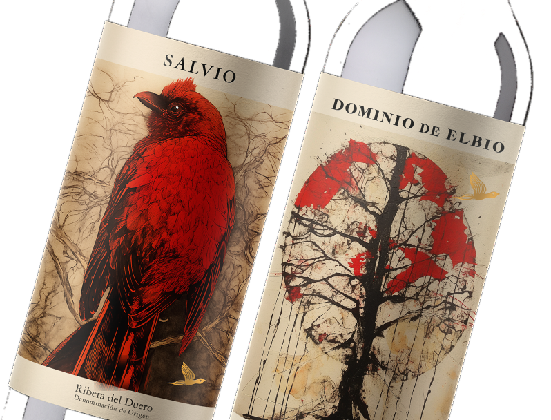 salvio-y-dominio-de-elbio-botellas-sin-fondo